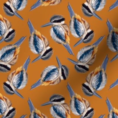 Red-backed Kingfisher - On Orange Ochre