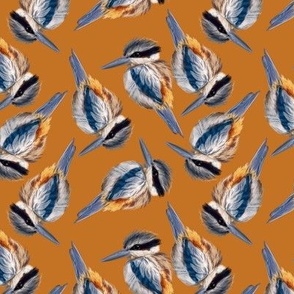 Red-backed Kingfisher - On Orange Ochre