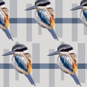 Kingfisher on stripes