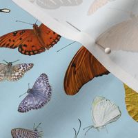 Butterfly Montage on Sky Blue