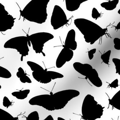 Butterfly Montage Silhouettes Black on White
