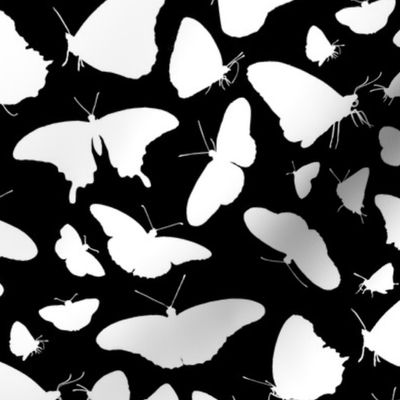 Butterfly Montage Silhouettes White on Black