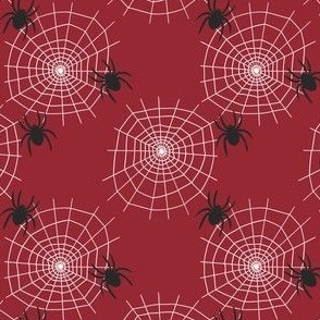 Spiderweb - Rose