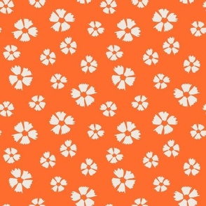 Zinnia in orange and white