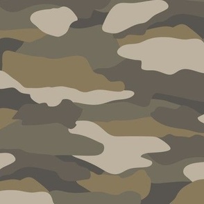 Earth Modern Abstract Camouflage 12 in