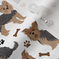 Yorkie Yorkshire Terrier Paws and Bones White