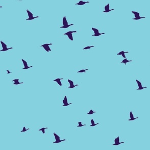 Flying birds on blue