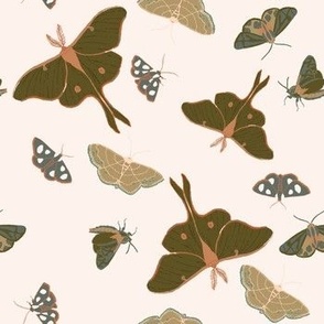 FOREST MOTHS blush 