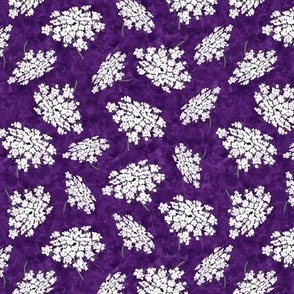 Queen Annes Lace on Dark Purple Texture
