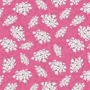 Queen Annes Lace on Bubblegum Pink Texture