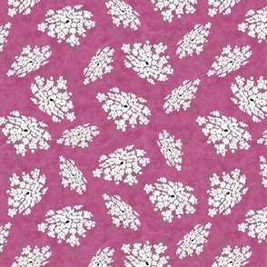 Queen Annes Lace on Peony Pink Texture