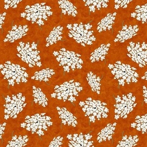 Queen Annes Lace on Bright Terracotta Texture