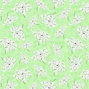 Queen Annes Lace on Lime Green Texture