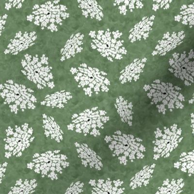 Queen Annes Lace on Sage Green Texture