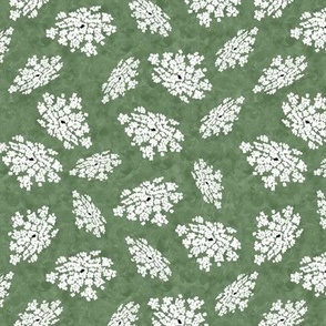 Queen Annes Lace on Sage Green Texture