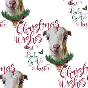 LaMancha Goat Christmas Wishes Baby Goat Kisses