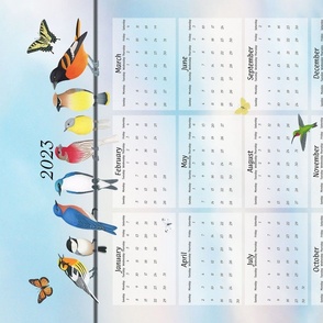 2023 backyard birds 12 month calendar