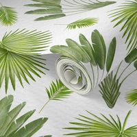 exotic palm pattern - fan palm, banana tree | fresh greenery