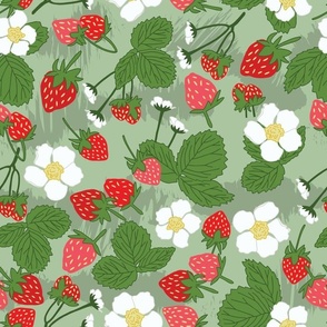 Summer Strawberries Patch