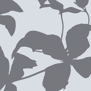 Clematis Flower Silhouette Pattern In Neutral Light Greys 