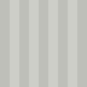 Light Grey Subtle Stripes Elegant Luxury