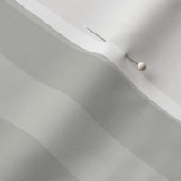 Light Grey Subtle Stripes Elegant Luxury Smaller Scale