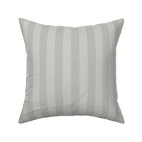 Light Grey Subtle Stripes Elegant Luxury Smaller Scale