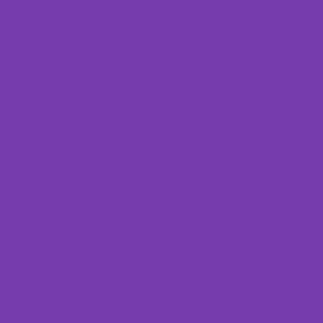 Solid Purple Plain