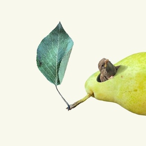 Unexpected still life, sparrow in a pear