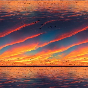 Pelicans in a sunset sky