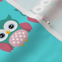 Owl  5