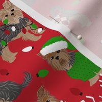 Yorkie Christmas Yorkshire Terrier Dog Red
