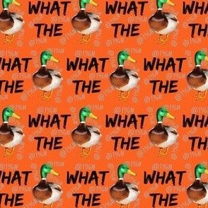 What The Duck, Orange