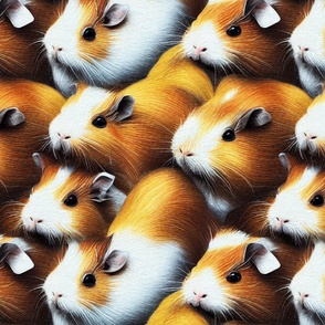 Lots of guinea pigs
