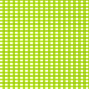 Green and White Gingham