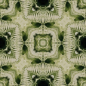 Curling Fern Kaleidoscope