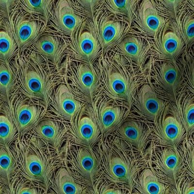 Seamless Tiling Peacock Fabric, Realistic