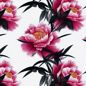 Pink & Black Peony