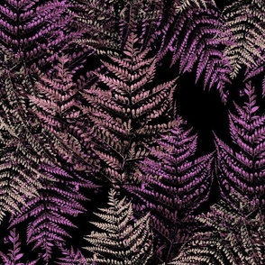 medium-Midnight in Fern Forest-tan and red-violet mauve