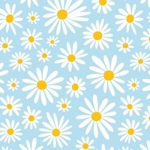 Marguerites light blue and yellow