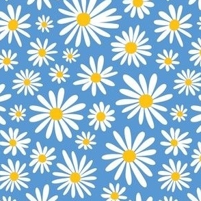 Marguerite blue - happy daisy