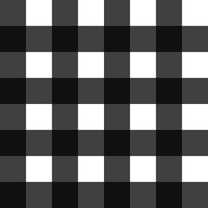 gingham black 1