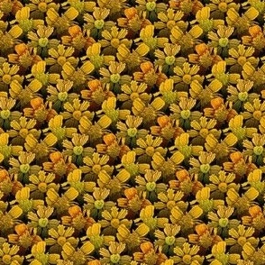 Marigold Shells in Yellow