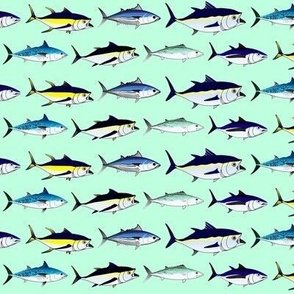 7 Tuna on oceanic green 1p5in