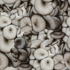 Gray Mushroom Cluster