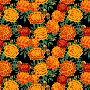 marigolds-black