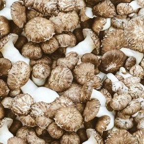 Brown Mushroom Cluster