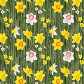 Dense Daffodil Forest