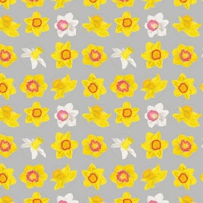 Colorful Large Daff Repeat Grey