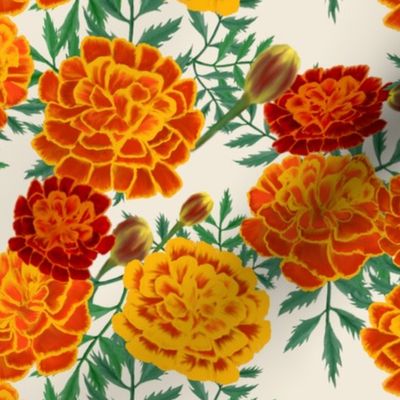 marigolds-cream